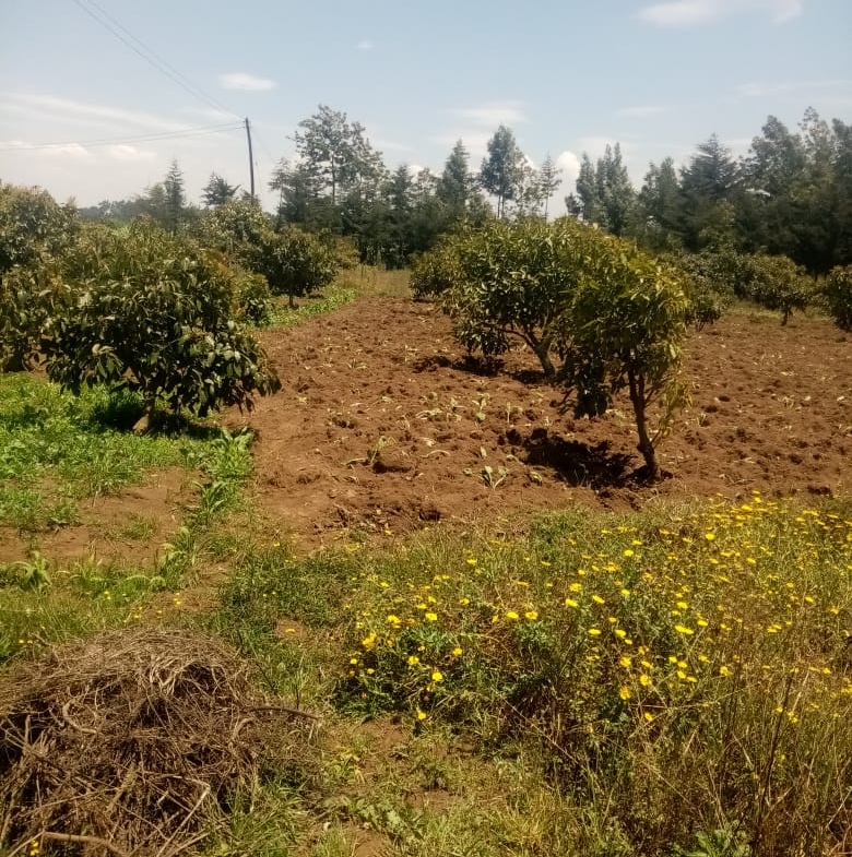 Land for sale in Lari Upland Limuru