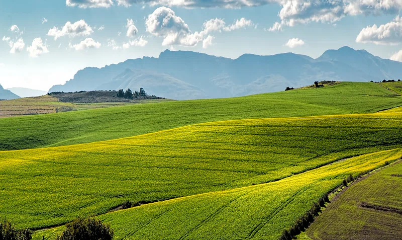 Land for sale in Kenya - Global Homes
