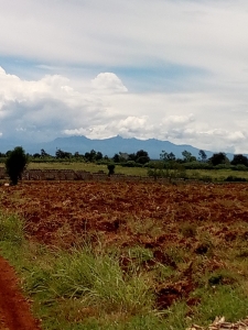 Land for sale Gatanga Road