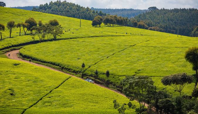 Limuru Land For Sale. Find Plots For Sale In Limuru