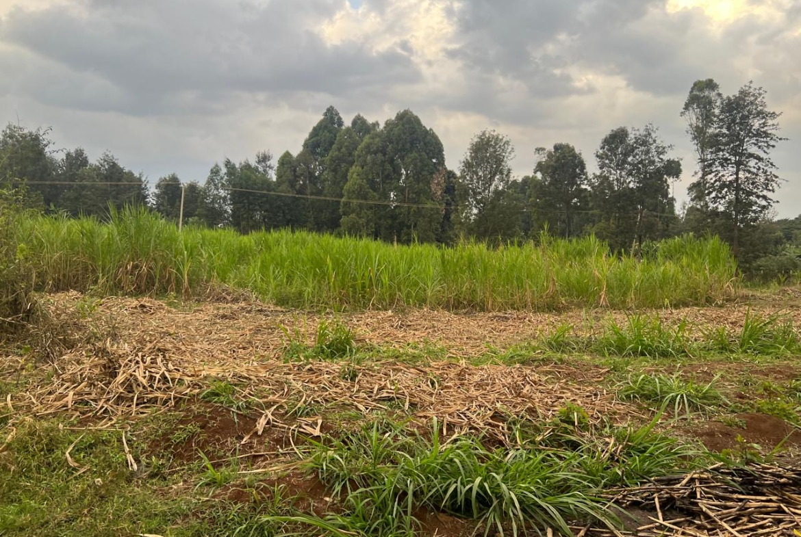 1 acre Land for sale in Ruaka