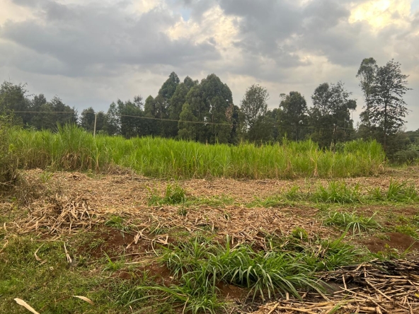1 acre Land for sale in Ruaka