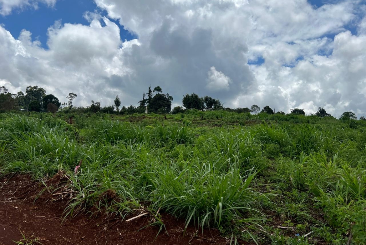 Land for sale in Ngecha Tigoni