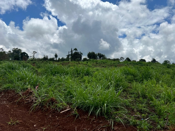 Land for sale in Ngecha Tigoni