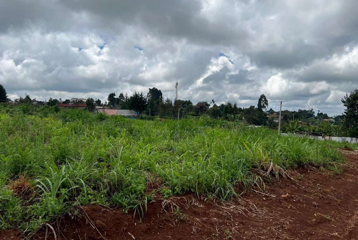 Plot land for sale in Ngecha tigoni