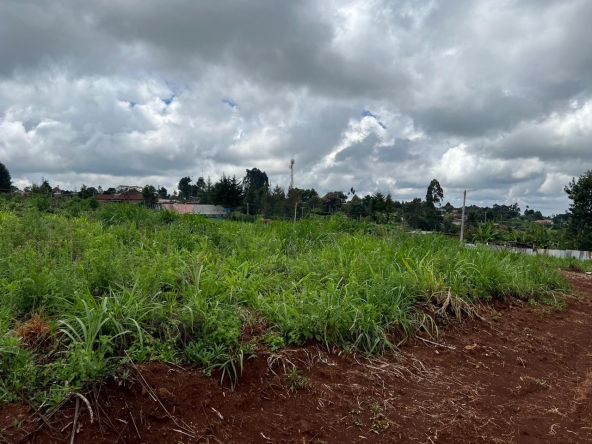 Plot land for sale in Ngecha tigoni