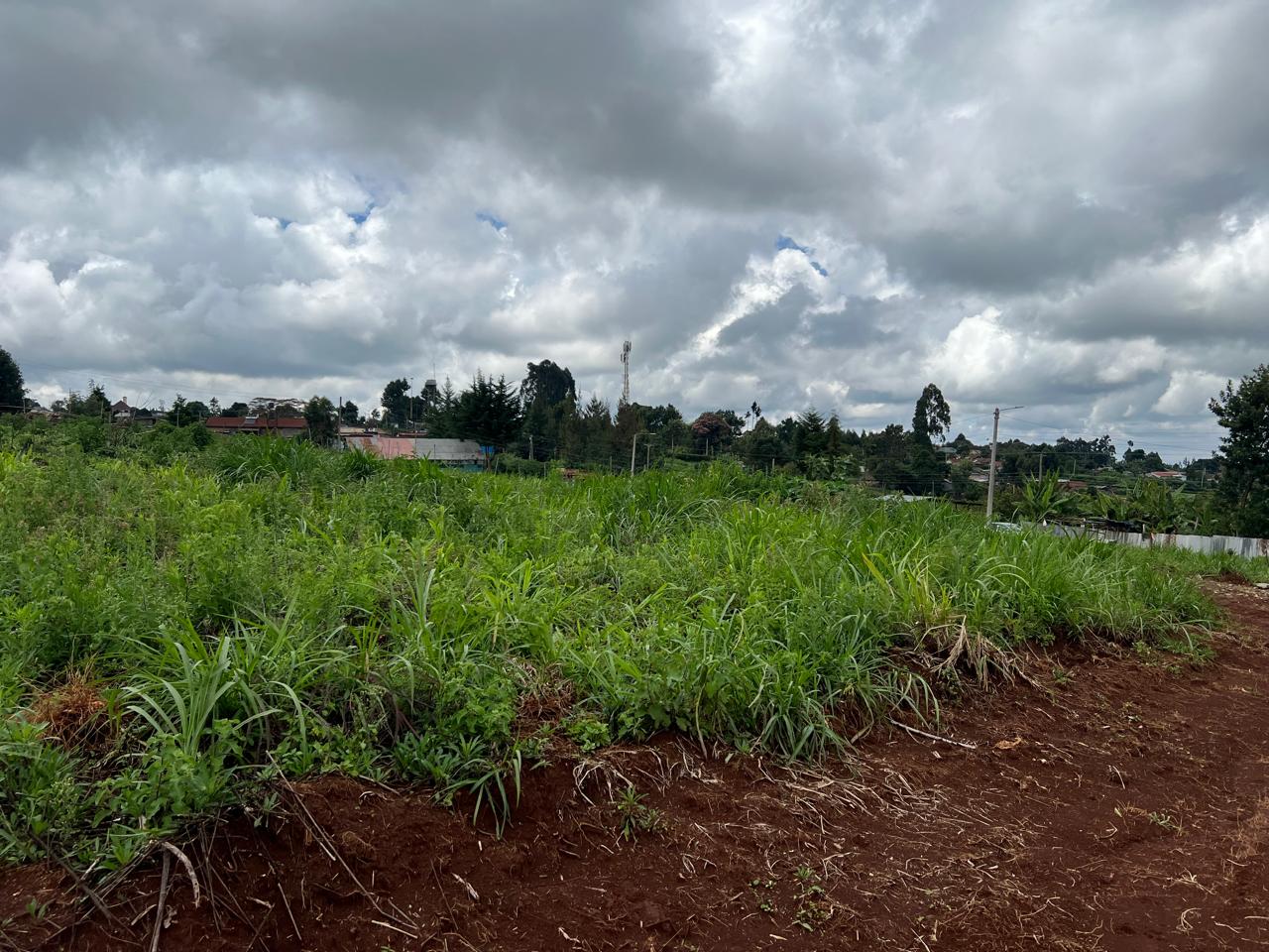 Plot land for sale in Ngecha tigoni