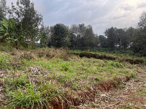land for sale in Wagutho, Kiambu