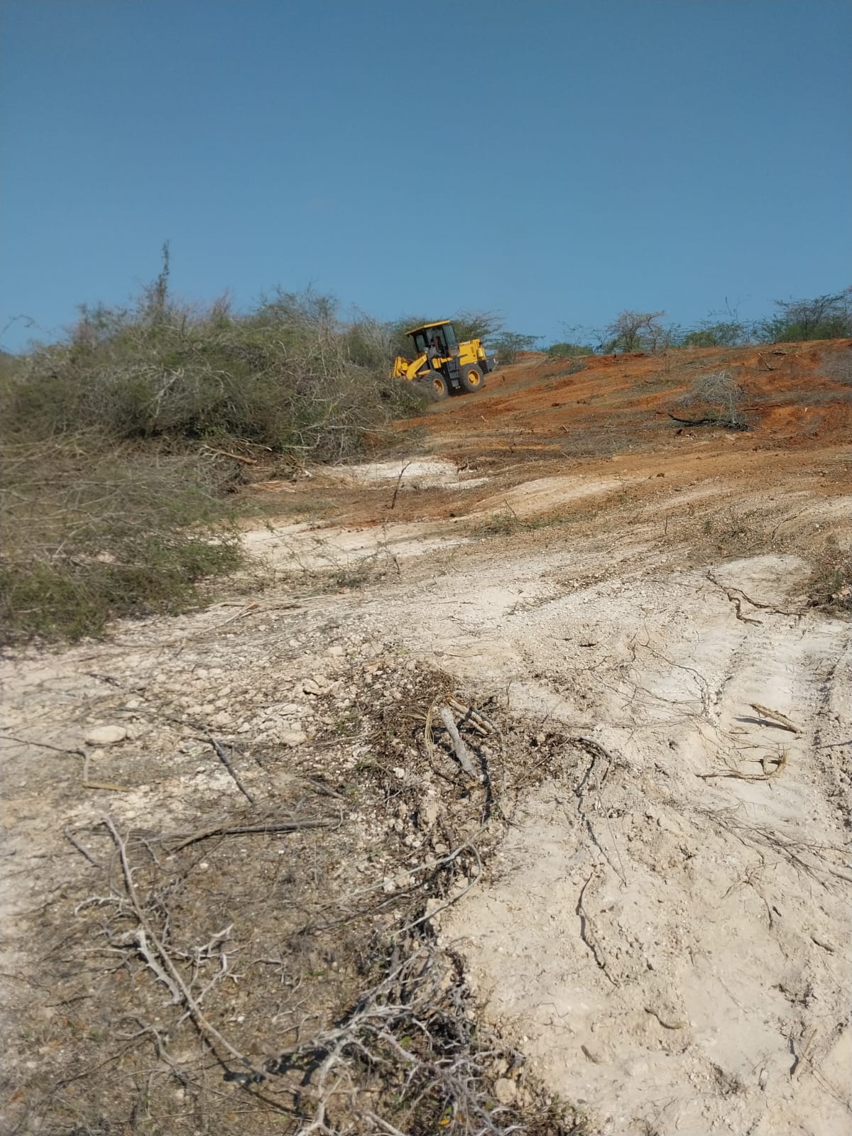 Land for sale in Malindi Lamu road 4